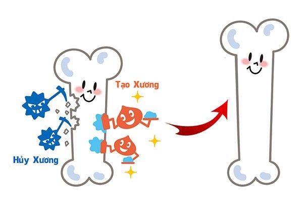 Lộ diện “nhân tố bí ẩn” giúp trẻ tăng tốc chiều cao chuẩn khoa học