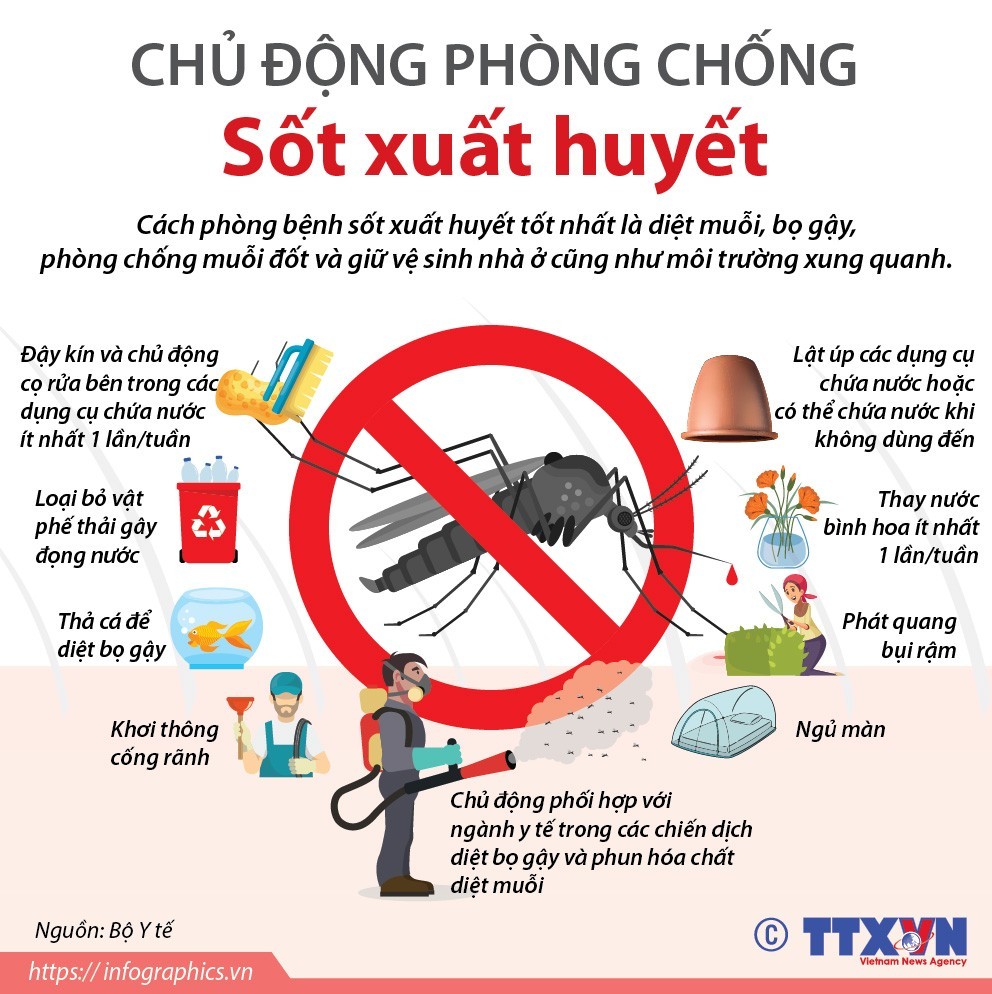 Mùa mưa, chủ động phòng sốt xuất huyết từ thói quen sinh hoạt