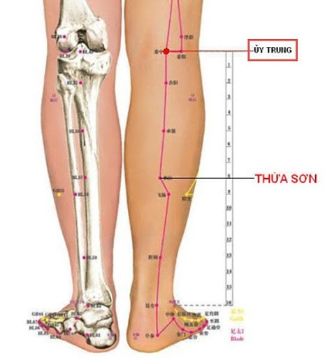 Xoa bóp giảm đau nhức do thoái hóa khớp gối